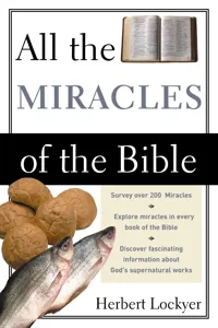 All the Miracles of the Bible_cover