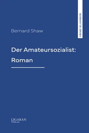 Der Amateursozialist: Roman