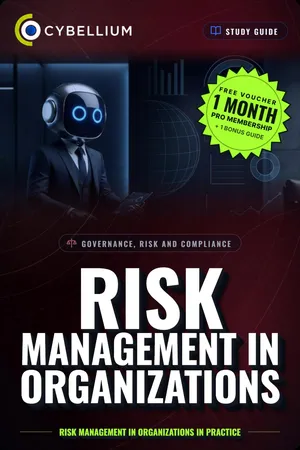 Risk Management in Organizations