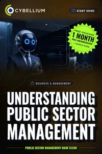 Understanding Public Sector Management_cover