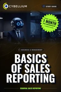 Basics of Sales Reporting_cover