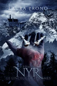 Nyr tome 3 - Le Linceul de Flammes_cover