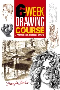 6-Week Drawing Course