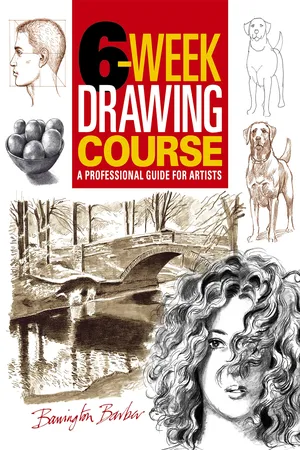 6-Week Drawing Course