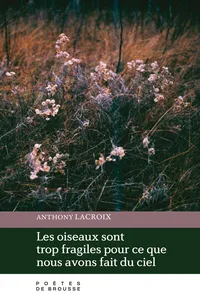 Les oiseaux sont trop fragiles pour ce que nous avons fait du ciel_cover