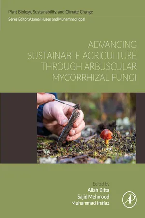Advancing Sustainable Agriculture Through Arbuscular Mycorrhizal Fungi