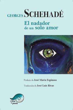 El nadador de un solo amor