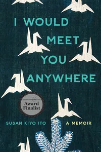 I Would Meet You Anywhere_cover