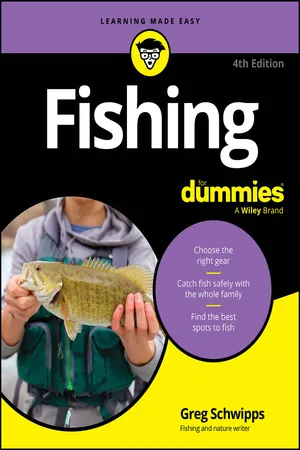 Fishing For Dummies