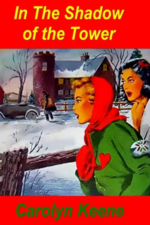 In the Shadow of the Tower (Dana Girls Mystery #3)