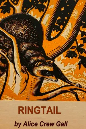 Ringtail