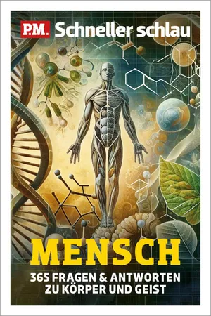 P.M. Schneller Schlau MENSCH