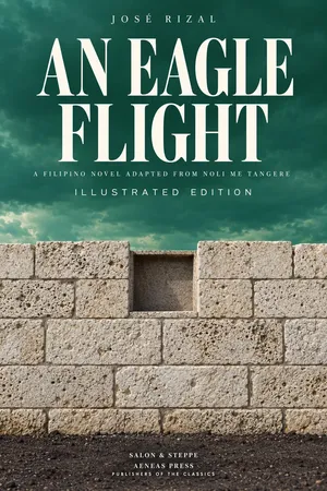 An Eagle Flight