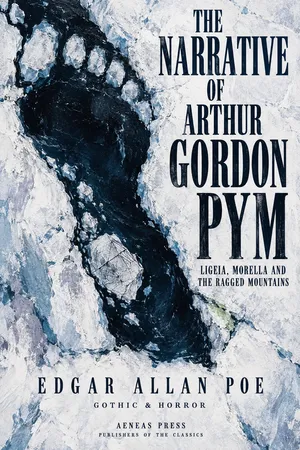 The Narrative of Arthur Gordon Pym, and Other Tales
