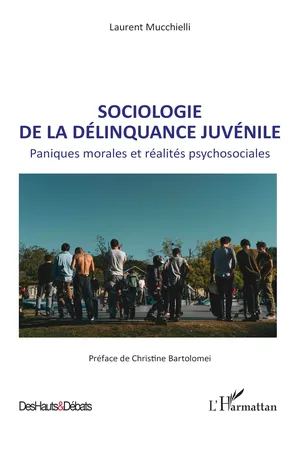 Sociologie de la délinquance juvénile