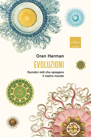Evoluzioni