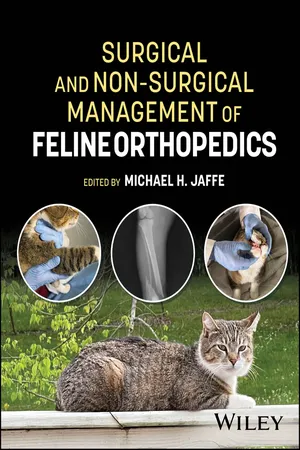 Surgical and Non-Surgical Management of Feline Orthopedics