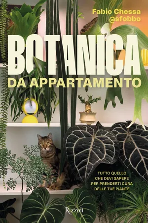 Botanica da appartamento