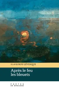 Après le feu les bleuets_cover