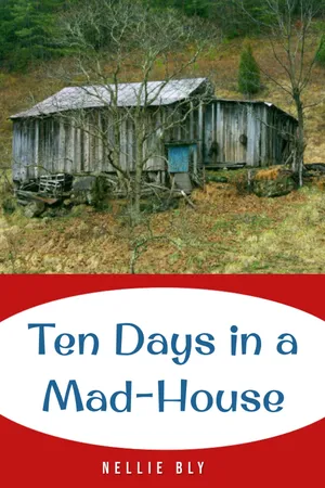 Ten Days in a Mad-House