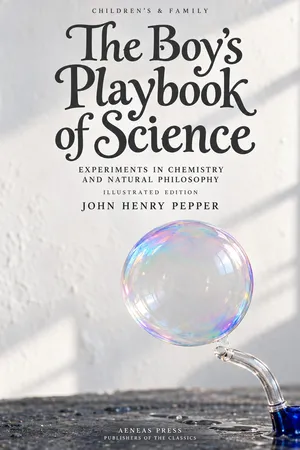 The Boy's Playbook of Science