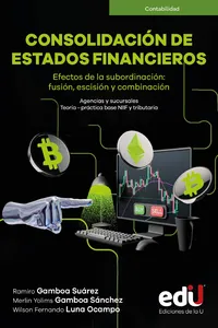 Consolidación de estados financieros.