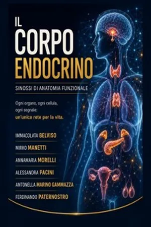 Il corpo endocrino
