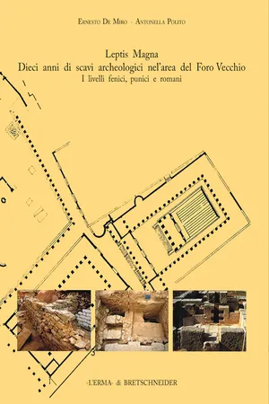 Leptis Magna. Dieci anni di scavi archeologici nell'area del Foro Vecchio