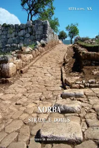 Norba. Strade e Domus_cover