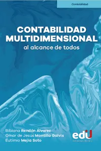 Contabilidad multidimensional. Al alcance de todos_cover