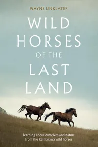 Wild Horses of the Last Land_cover