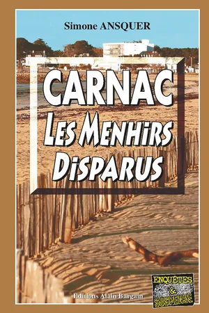 Carnac, les menhirs disparus
