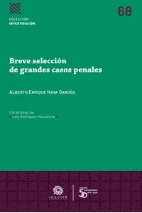Breve selección de grandes casos penales_cover