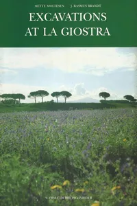 Excavations at La Giostra_cover
