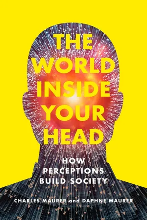 The World Inside Your Head