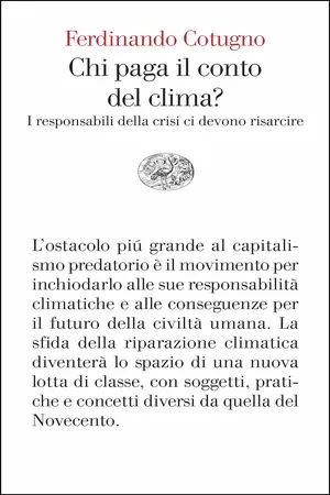 Chi paga il conto del clima?