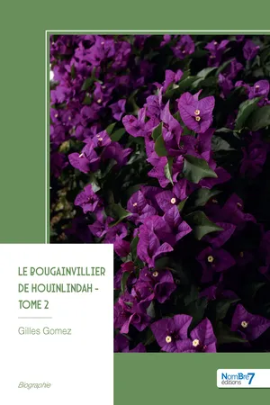 Le bougainvillier de Houinlindah