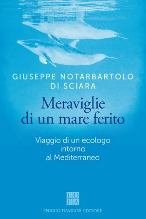 Meraviglie di un mare ferito