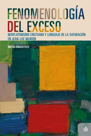 Fenomenología del exceso