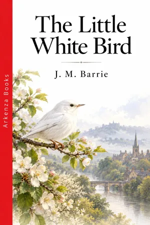 The Little White Bird