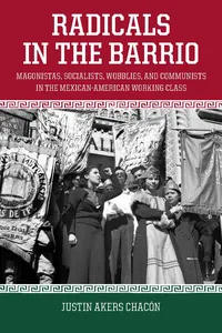 Radicals in the Barrio_cover