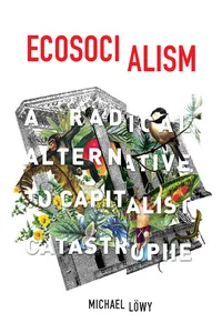 Ecosocialism_cover