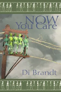 Now You Care_cover