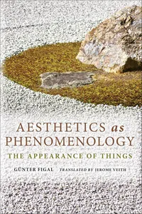 Aesthetics as Phenomenology_cover