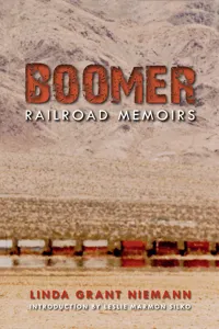Boomer_cover