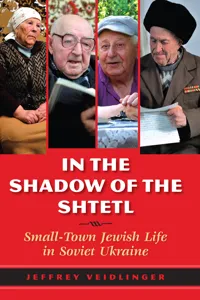 In the Shadow of the Shtetl_cover