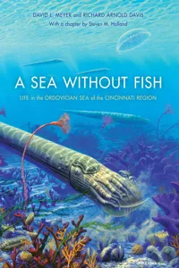 A Sea without Fish_cover