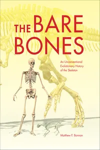 The Bare Bones_cover