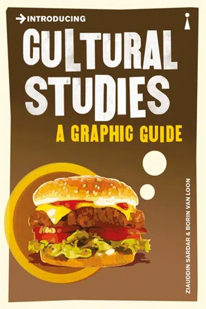 Introducing Cultural Studies