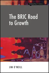 The BRIC Road to Growth_cover